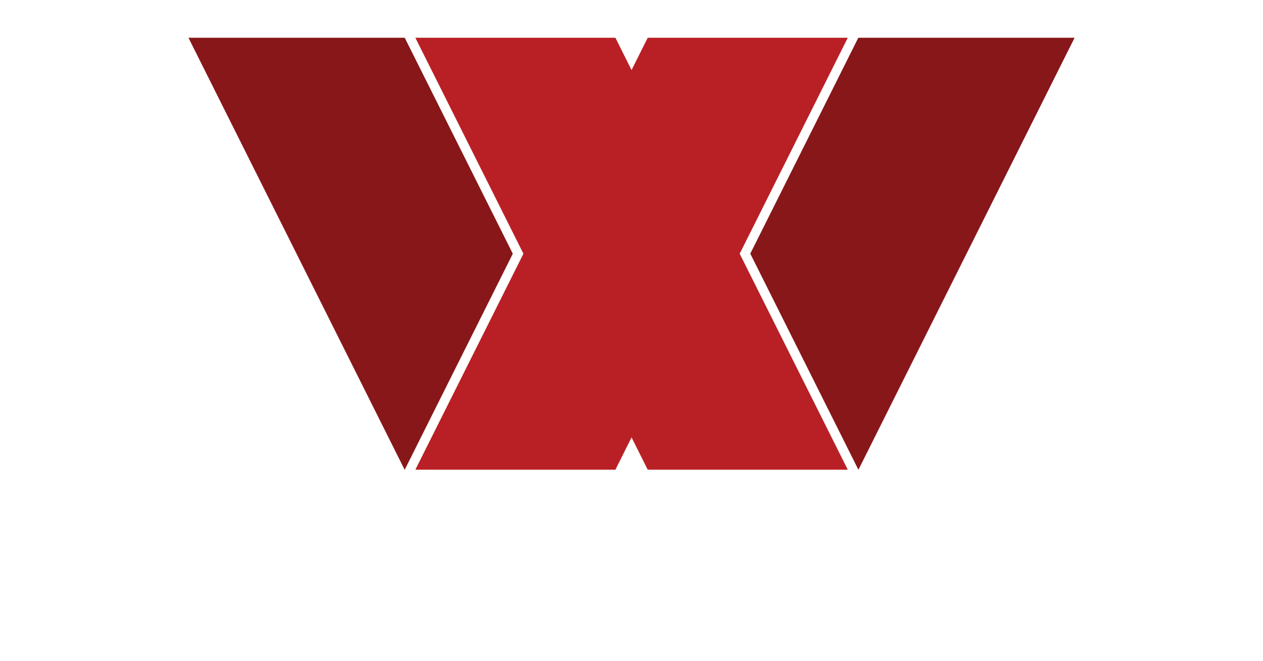 Logo Wealthxpression white font (1)